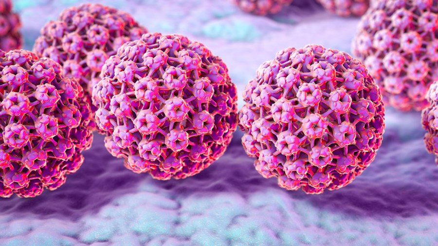 How Does HPV Contribute to the Development of Cancer